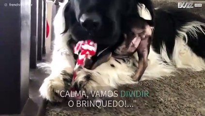 Uma verdadeira amizade não se mede pelo tamanho de ninguém