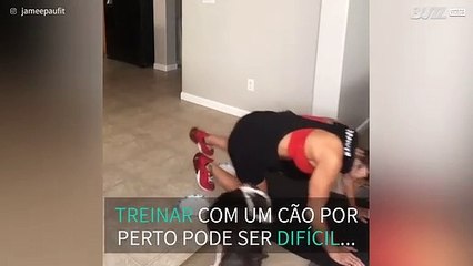 Fazer exercício com um cão por perto não é facil!