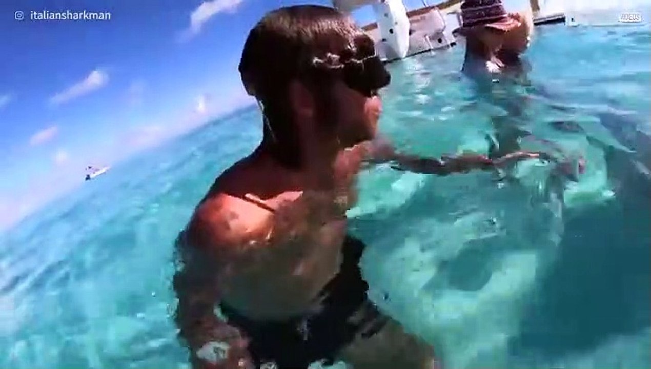 Mergulhador nada com raias em Bora Bora