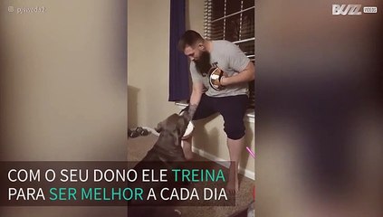 Cão adotado treina Muay thai com o dono