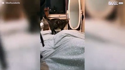 Nem sempre os abraços são bem vindos!