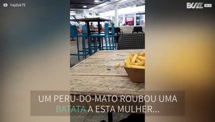 Peru rouba batatas da mesa em restaurante