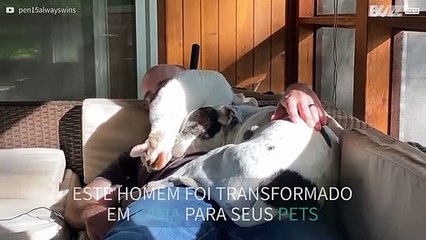 Cão e gato transformam seu dono em cama