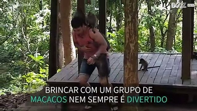 Jovem tem encontro desagradável com macacos!