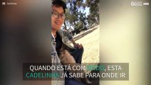 Cadela adora se esconder em casaco do dono