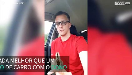 Homem passeia de carro com pet pouco convencional
