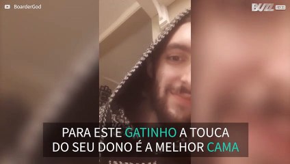 Gato adora se esconder na touca do seu dono
