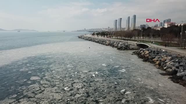 PENDİK VE KARTAL SAHİLİNDE TEDİRGİN EDEN GÖRÜNTÜ -1
