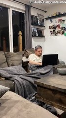 Lucille the Chihuahua Mix Politely Asking for Attention