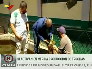 Mérida | Estación piscícola La Mucuy eleva producción de trucha para alcanzar 50 toneladas