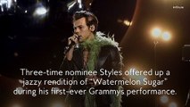 Harry Styles Wore a Mile-Long Muppet Scarf at the Grammys