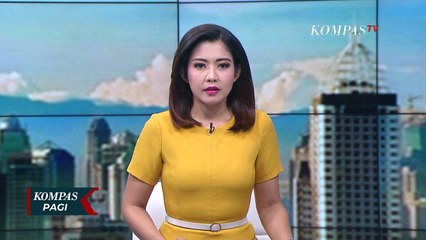 KPK Sita Uang Rp 52,3 M Dugaan Terkait Suap Benih Lobster