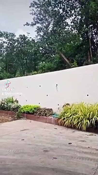 Tiktok Nature
