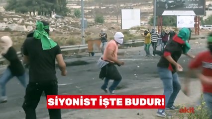Yağma, zulüm, zorbalık siyonistlik işte budur!