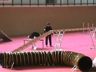 Eurocopter 17FEV08 Marge Open RC