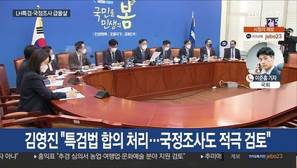 LH특검·국정조사 급물살…공직자 전수조사도 추진