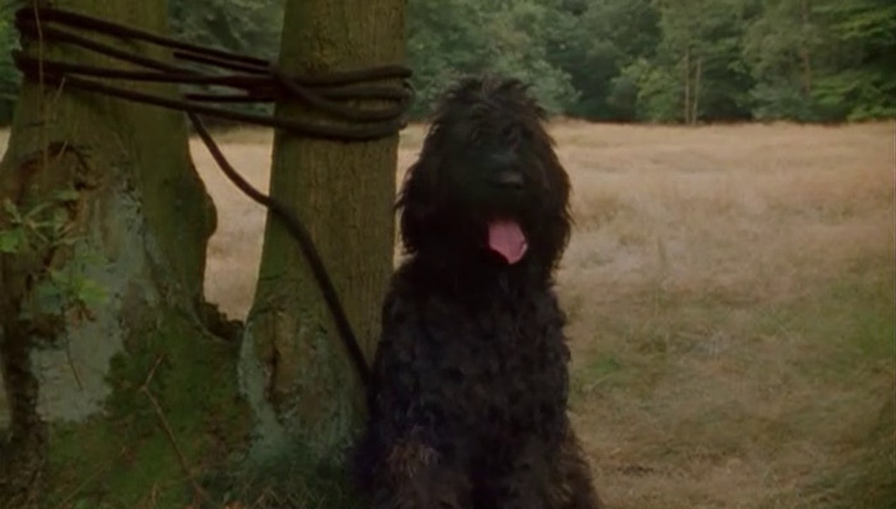 Flodders - 32. Ein Hundeleben