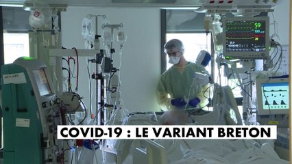 Covid-19 : indétectable par les tests PCR, un variant breton découvert par la DGS