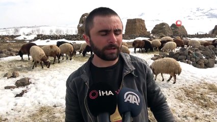 Muş’ta besicilerin zorlu kış mesaisi uzadı