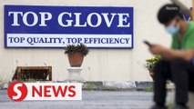 Top Glove charged with failure to provide Labour Dept-certified accommodations for workers