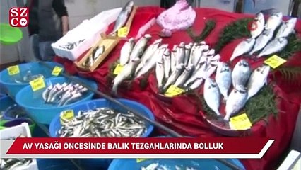 Av yasağı öncesi balık tezgahlarında bolluk yaşanıyor