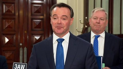 Failed leadership candidate resigns from shadow ministry