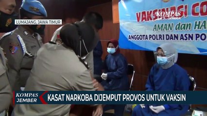 Takut Jarum, Kasat Narkoba Dijemput Paksa Provos untuk Vaksin