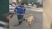 Süpürgesini kaçıran sokak köpeğine 'o bana zimmetli' diye seslendi