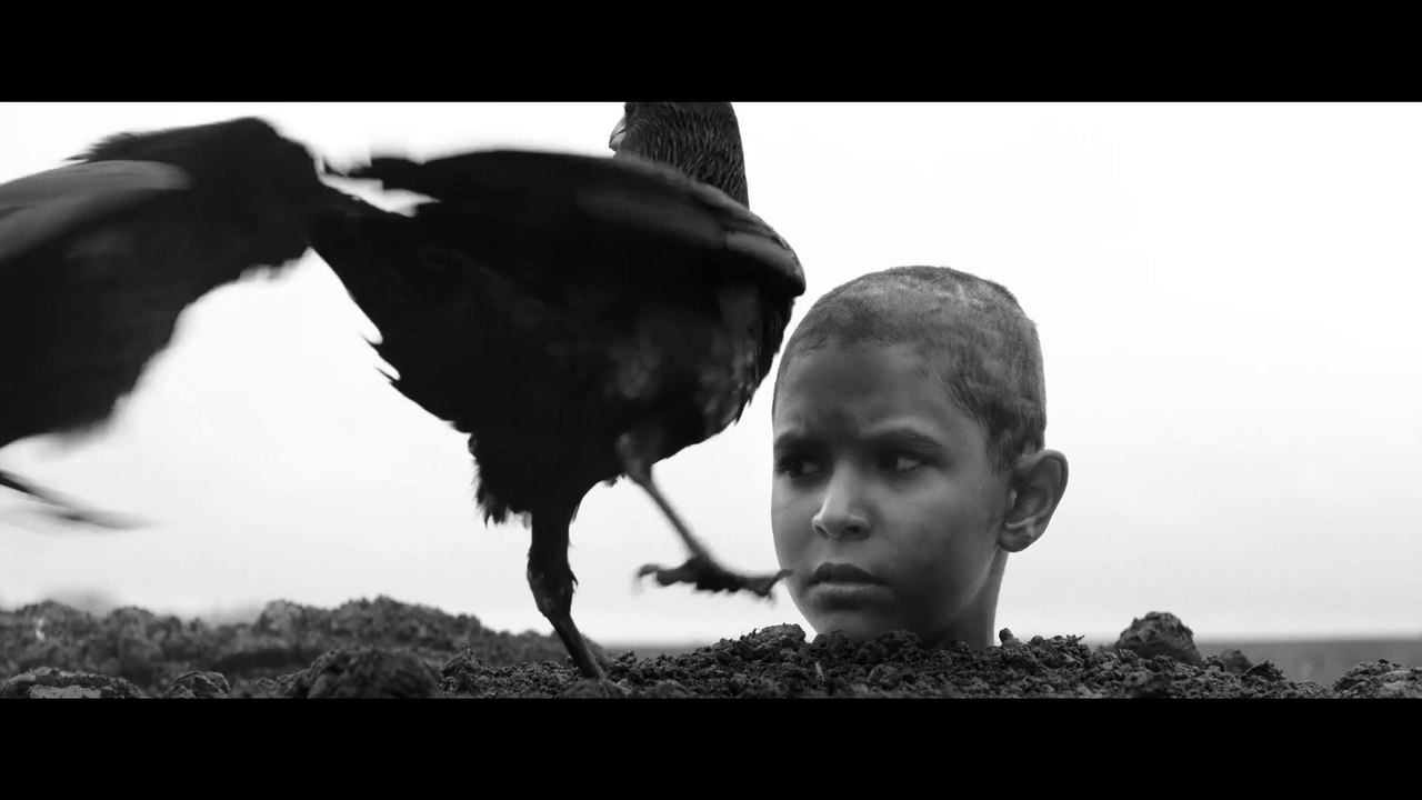 The Painted Bird - Trailer (Deutsche UT) HD