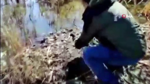 Tedavileri tamamlanan kuşlar doğaya bırakıldı