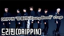 [TOP영상] 드리핀(DRIPPIN), 타이틀곡 ‘영 블러드(Young Blood)’ 무대(210316 DRIPPIN ‘Young Blood’ stage)