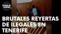Brutales peleas entre inmigrantes ilegales en el campamento Las Raices de Tenerife
