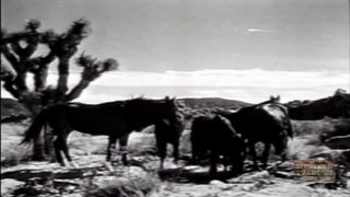 Range Rider | 1953 | Season 3 | Episode 17 | West of Cheyenne | Jock Mahoney | Dickie Jones