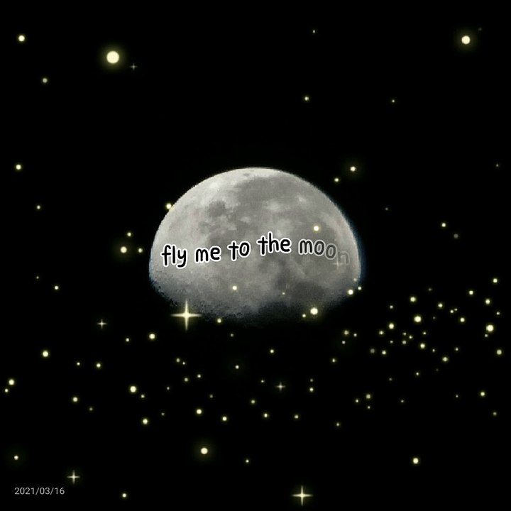 Fly me to the Moon