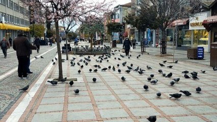 Olağanüstü artışını yaşandığı kentte, vakaların sebebi şaşkına çevirdi