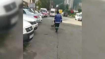 Süpürgesini çalan köpeğe "Bu benim üzerime zimmetlidir" diye seslendi