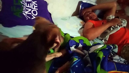 vedio