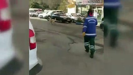 Süpürgesini alan köpeğe seslendi: O bana zimmetli