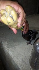 ang bago naming baby