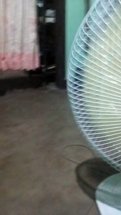nood tv