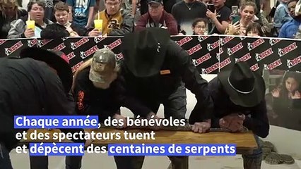 Texas: frissons assurées et sans masque à la Foire du serpent à sonnette