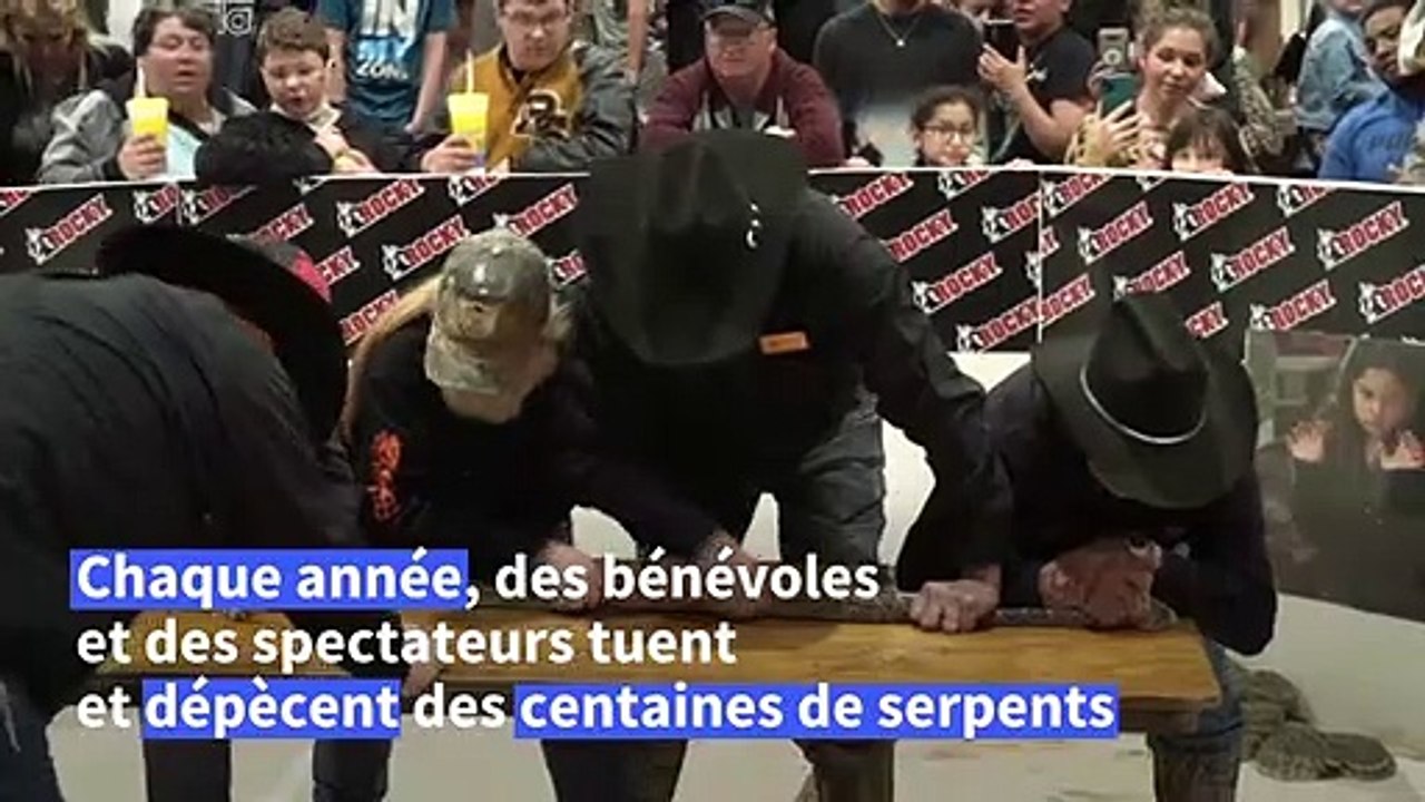 Texas: frissons assurées et sans masque à la Foire du serpent à sonnette