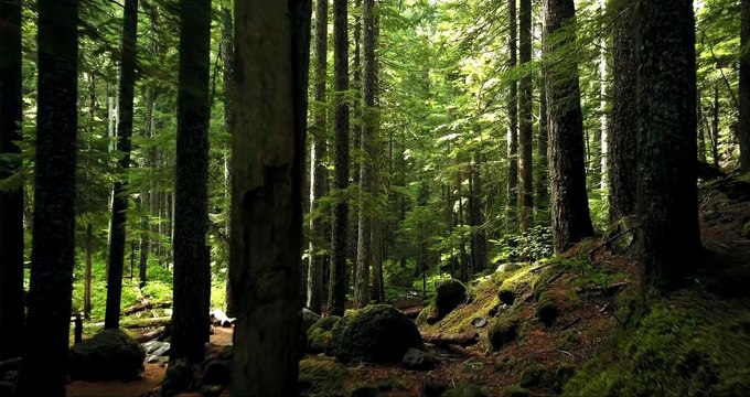 Pexels Videos 1448735