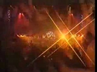 DIVLJE JAGODE-JEDINA MOJA