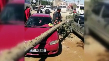 Fırtına araç ve tarım arazilerine zarar verdi