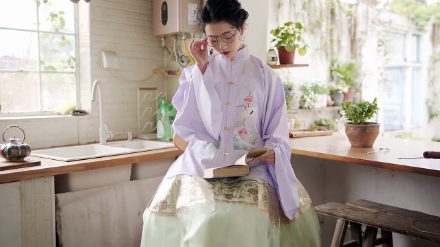 Ming Dynasty Hanfu Traditional Chinese Clothing