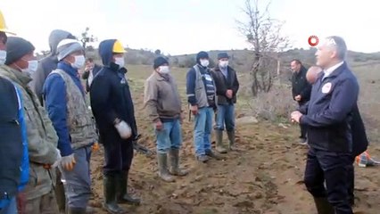 Yabani ahlât ağaçları, aşılanarak üretime değer katacak