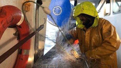 En pêche avec le fileyeur Izel Vor II, de Lorient