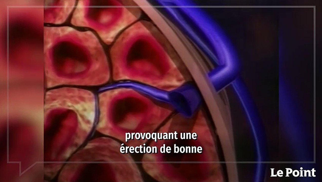 Avril 1998 : le lancement du Viagra
