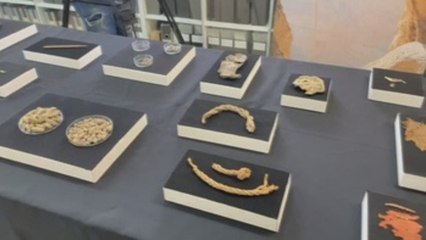 Israel muestra nuevos fragmentos de rollo bíblico milenario del Mar Muerto